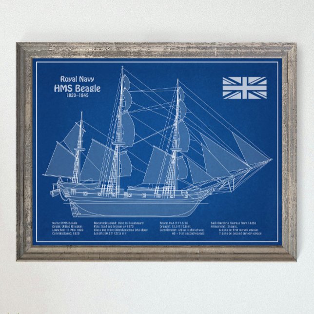 HMS Beagle Tall Ship - Ship Blueprint ABD Poster (Creator Uploaded)