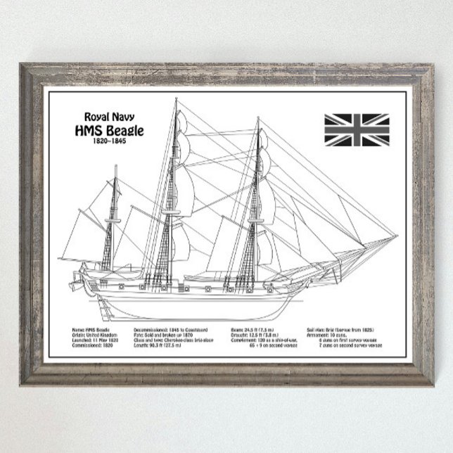 HMS Beagle Tall Ship - Ship Blueprint BD Poster (Creator Uploaded)