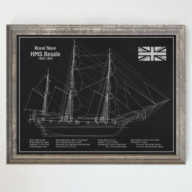 HMS Beagle Tall Ship - Ship Blueprint PBD Poster (Creator Uploaded)