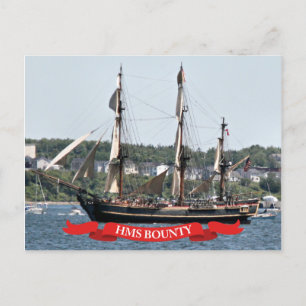 HMS Bounty Tall Ship Postcard