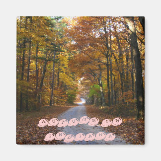 HNF Autumn Lane, AUTUMN IN INDIANA Magnet