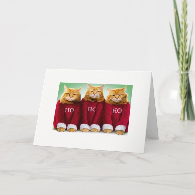 Ho Ho Ho Cat Xmas Card (Front)