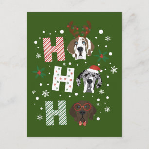 Ho Ho Ho Great Dane Merry Christmas Postcard