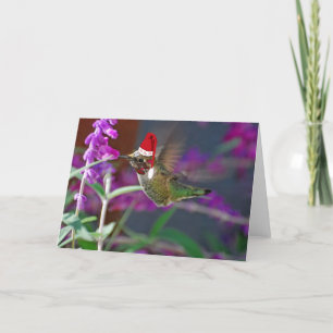 Ho Ho Ho Hummingbird Holiday Card