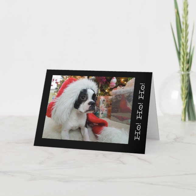 Ho! Ho! ho! Merry Christmas Lola B. Boston Holiday Card (Front)