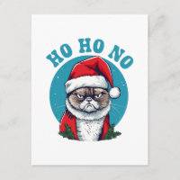 Ho ho no - funny grumpy santa cat