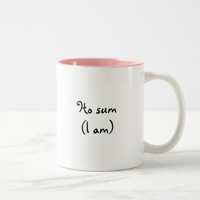 Ho sum- Mug (Right)