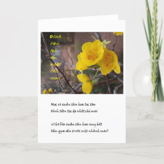 hoa mai vang holiday card