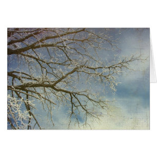 Hoar Frost, Happy New Year!