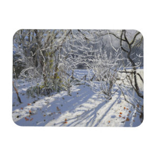 Hoar frost Markeaton Derby.UK.2012 Magnet