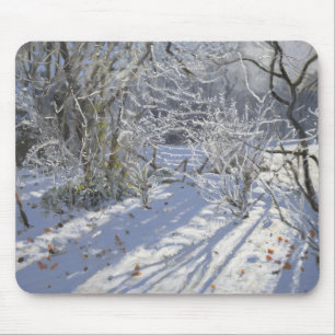 Hoar frost Markeaton Derby.UK.2012 Mouse Pad