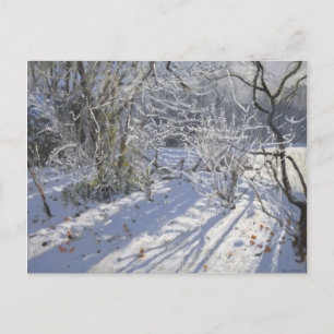 Hoar frost Markeaton Derby.UK.2012 Postcard