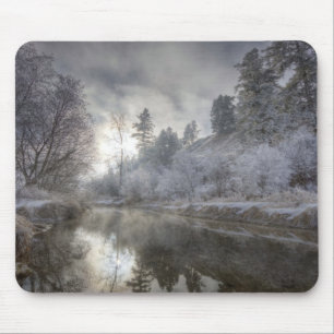 Hoarfrost along a slough at the Kelly Island Mouse Pad