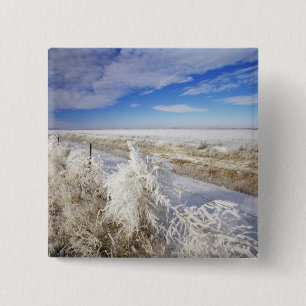 Hoarfrost coats tumbleweed and fenceline near 15 cm square badge