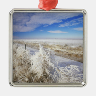 Hoarfrost coats tumbleweed and fenceline near metal tree decoration