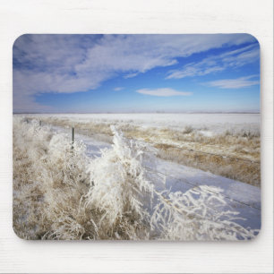 Hoarfrost coats tumbleweed and fenceline near mouse pad