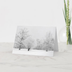 Hoarfrost Morning, Ottawa, Canada Card