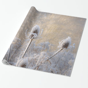 Hoarfrost Teasels Winter Photo Scenic Nature  Gift Wrapping Paper