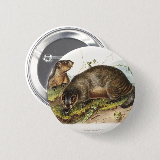 Hoary Marmot Camping Deco Gifts 6 Cm Round Badge (Front & Back)