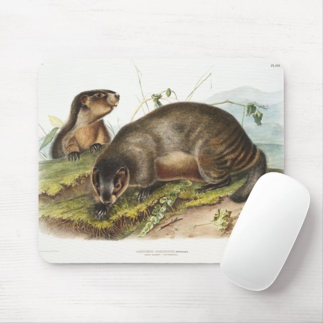 Hoary Marmot Camping Deco Gifts Mouse Pad (With Mouse)