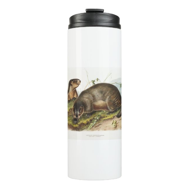 Hoary Marmot Camping Deco Gifts Thermal Tumbler (Front)