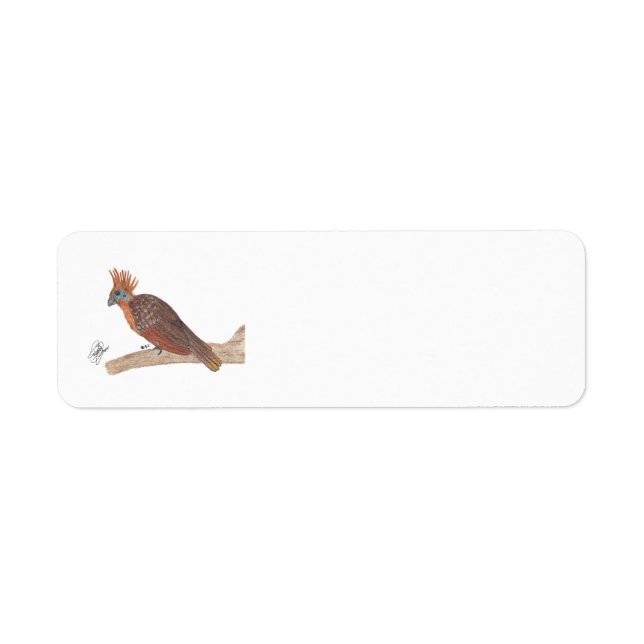 HOATZIN RETURN ADDRESS LABEL (Front)