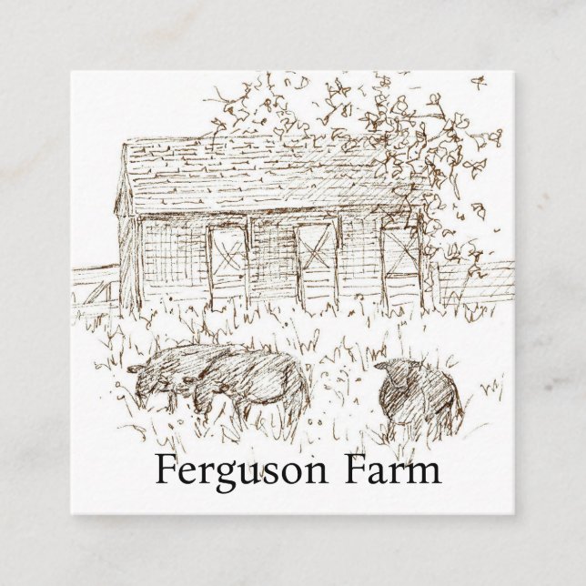 Hobby Farm Cows Black Angus Livestock Square Business Card (Front)