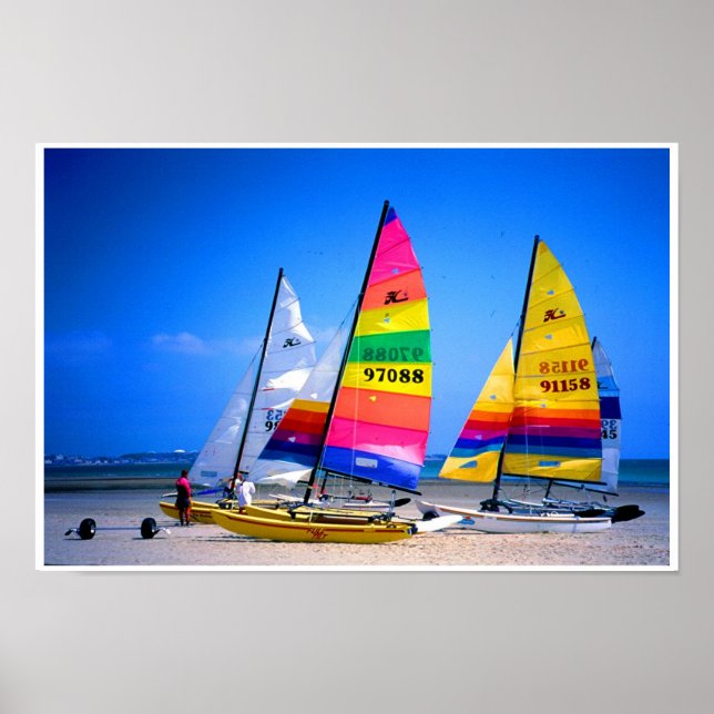 HOBIE CATS IN JERSEY POSTER (Front)