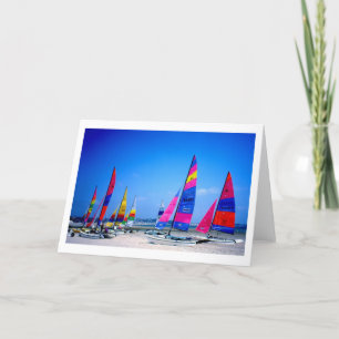 Hobie sailing boats in Jersey Holiday Card