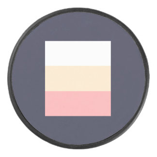 Hockey Puck