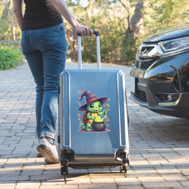 Hocus Shellcus Turtle (Suitcase Insitu)