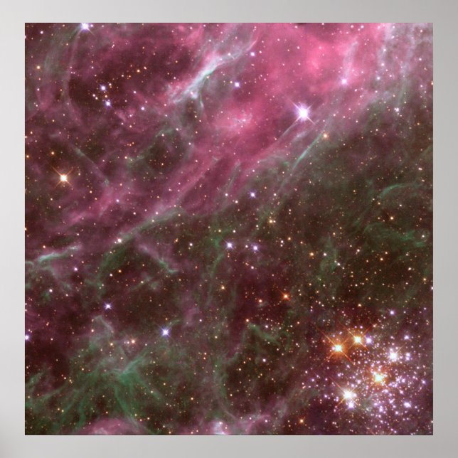 Hodge 301, Tarantula Nebula Poster (Front)