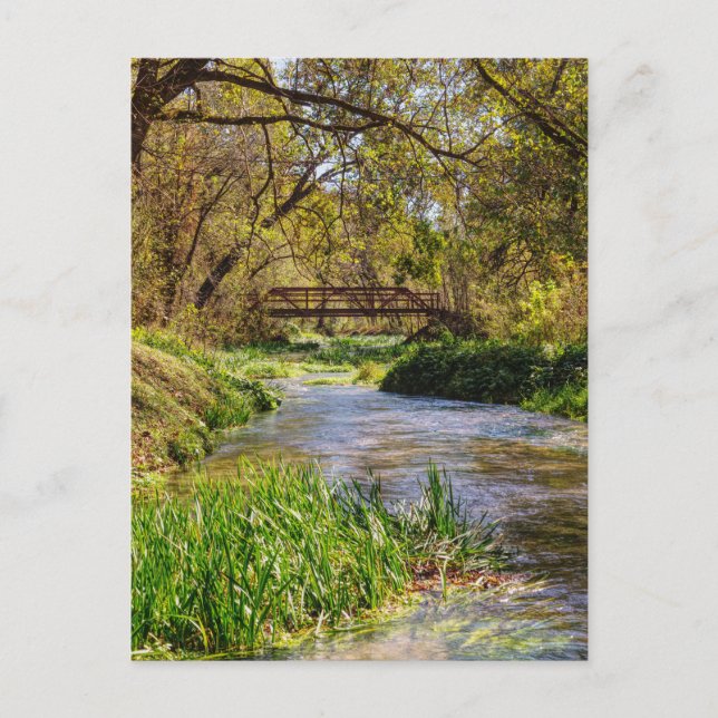 Hodgson Spring Flow Postcard (Front)