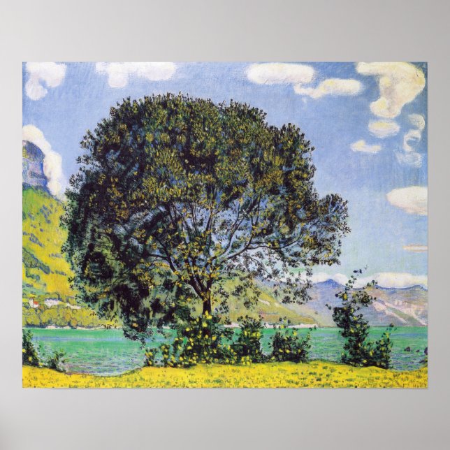 Hodler - Tree At Brienzersee 1906 Poster (Front)