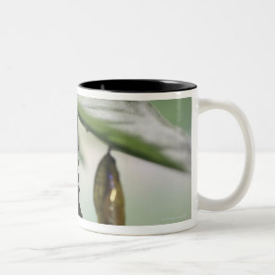 Hodokubo, Hino, Tokyo, Japan 2 Two-Tone Coffee Mug