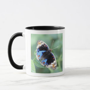 Hodokubo, Hino, Tokyo, Japan 4 Mug