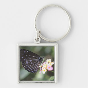 Hodokubo, Hino, Tokyo, Japan 5 Key Ring