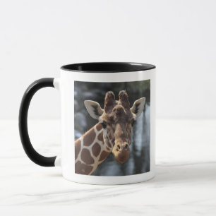Hodokubo, Hino, Tokyo, Japan 6 Mug