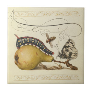 Hoefnagel Vintage Pear & Insects 1500s Renaissance Tile
