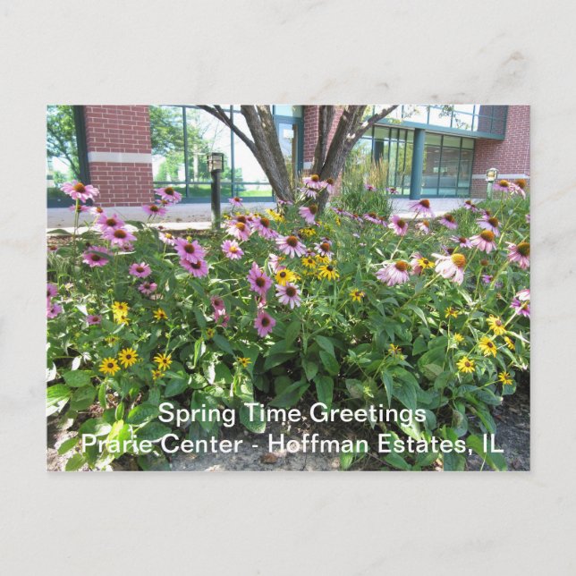 Hoffman Estates, Illinois Prarie Centre Greeting P Postcard (Front)
