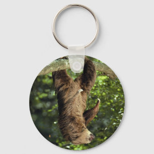Hoffmann's two-toed sloth key ring