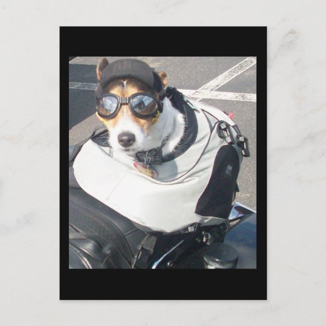 Hog Dog Postcard (Front)