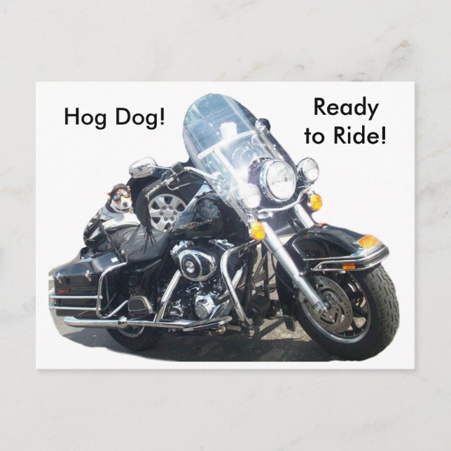 Hog Dog - Ready to Ride! Postcard (Front)