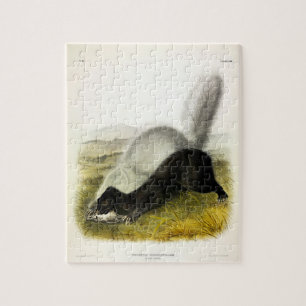 Hog-nosed Skunk (Texan Skunk) Audubon's Quadrupeds Jigsaw Puzzle