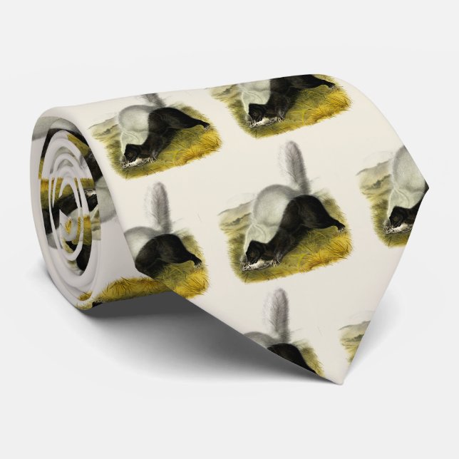 Hog-nosed Skunk (Texan Skunk) Audubon's Quadrupeds Tie (Rolled)