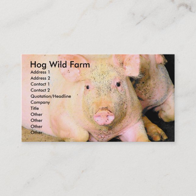 Hog Wild Farm Business Card (Front)