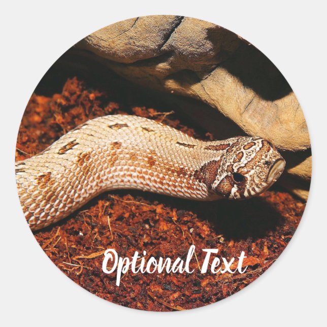 Hognose Pet Snake Classic Round Sticker (Front)