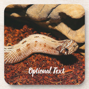 Hognose Pet Snake Coaster