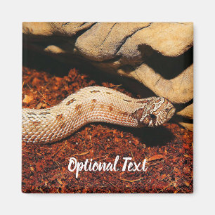 Hognose Pet Snake Magnet