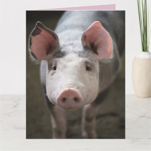 HOGS AND KISSES PIG CARD CARDS